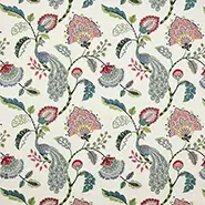 Jaipur Peacock